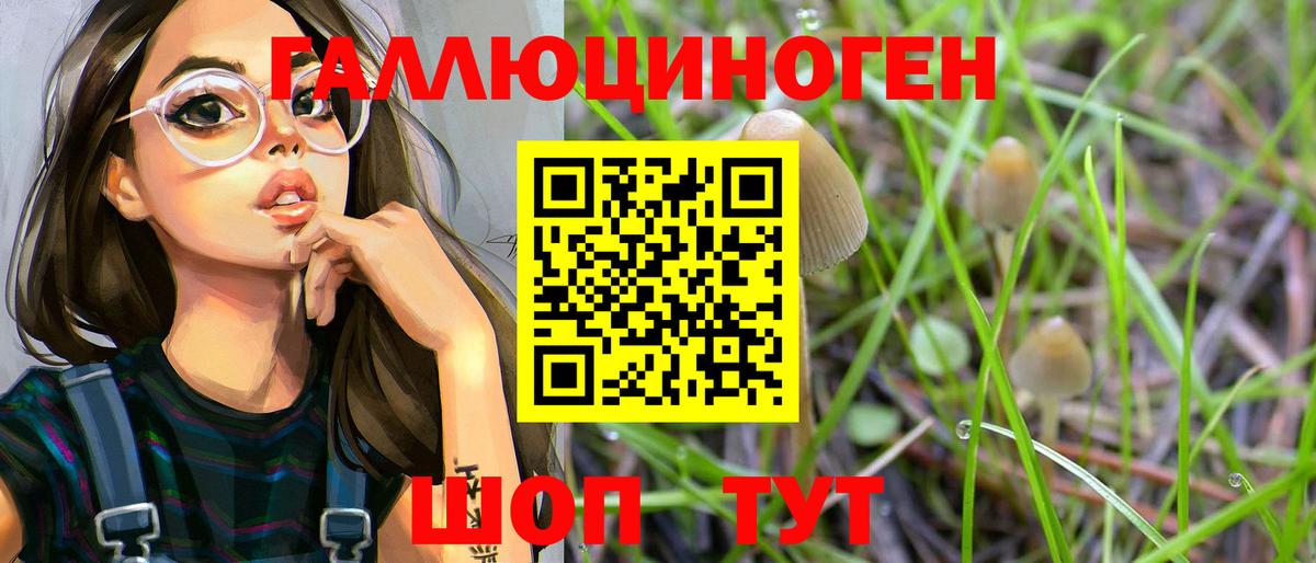 Галлюциногенные грибы мицелий  Вход с VPN  Елец  Псилоцибиновые грибы Psilocybe 