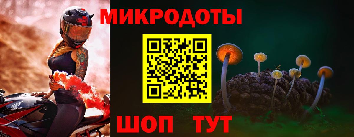 Галлюциногенные грибы Psilocybe Елец